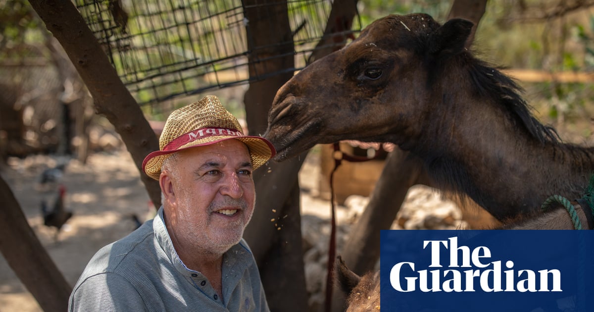 A dog saved Houssein Hamze from a bomb. When war returned, he stayed to care for Lebanon’s animals | Lebanon