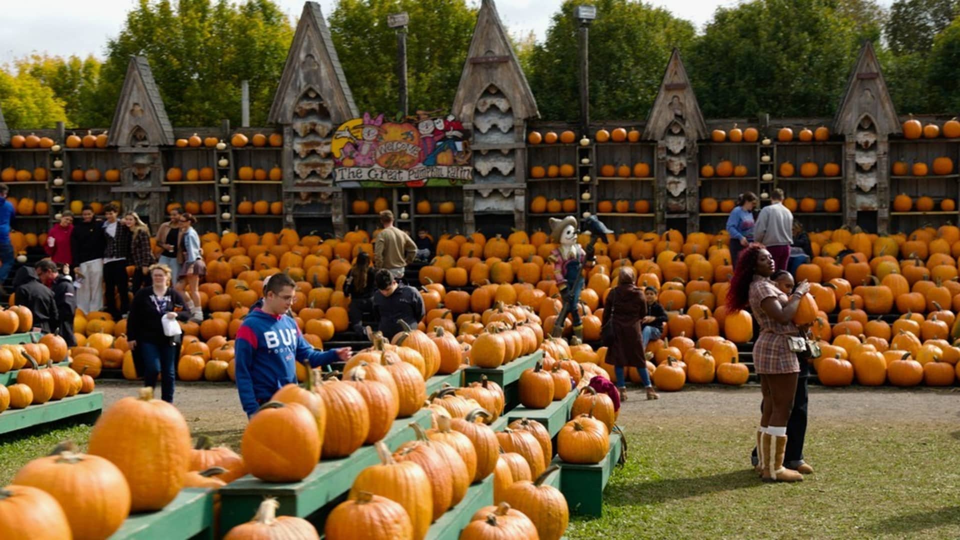 74-year-old’s pumpkin farm brings in $2 million annually—in only 7 weeks