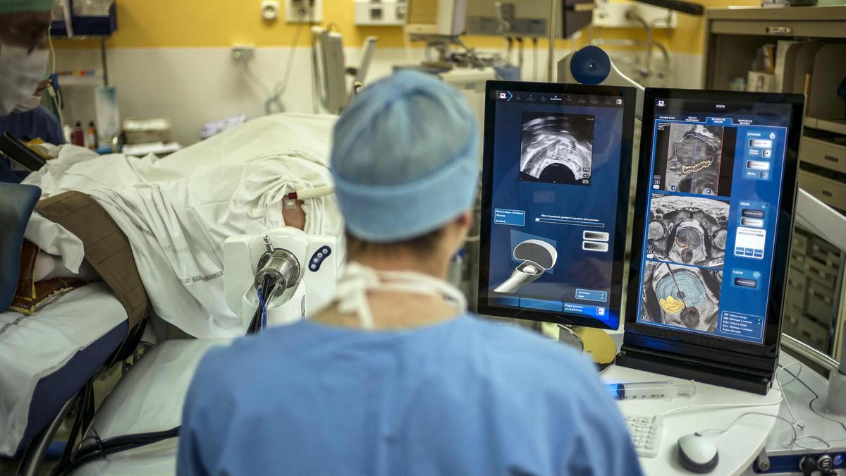 A promising development in prostate cancer care: can immunotherapy help?