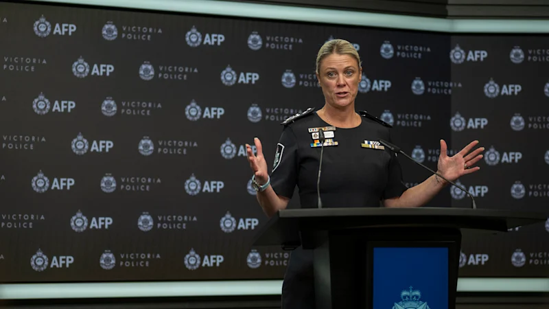 AFP Commissioner Krissy Barrett reveals scale of threats to MPs after Helen Haines attack