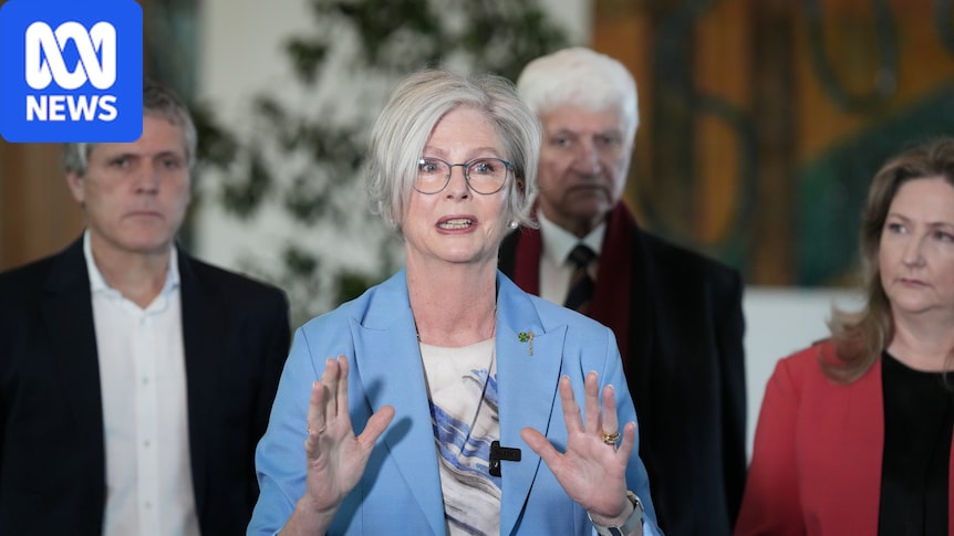 After Helen Haines ‘attack’ in the street, Australian democracy is facing its biggest test