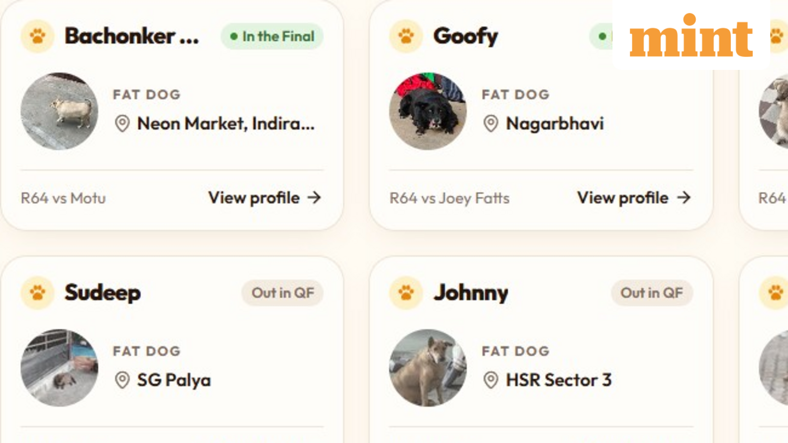 Bengaluru’s ‘fat dog election’: 64 canine contenders, two finalists and an internet-fuelled showdown
