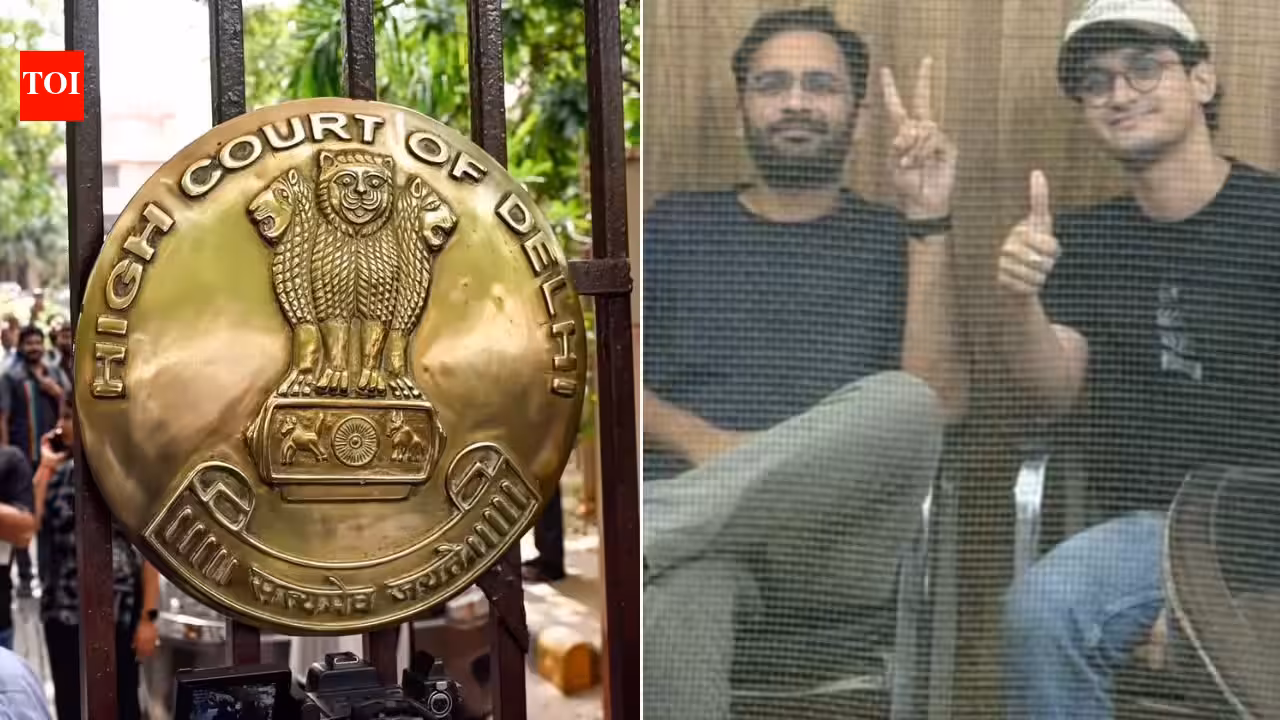 CJP’s Saurav Das, Ashutosh Ranka withdraw plea challenging custody in Delhi HC