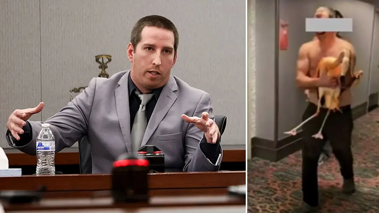 Canadian tourist convicted of animal cruelty at Flamingo Las Vegas