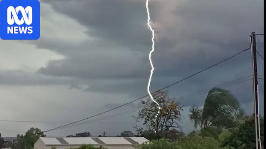 Car crushed by tree limb, lightning and 98 km winds in SA