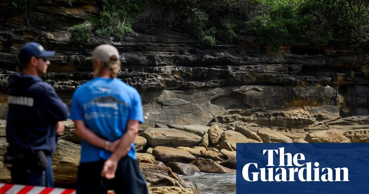 Decomposing whale near Sydney’s Coogee beach should be towed out to sea, Indigenous rangers say
