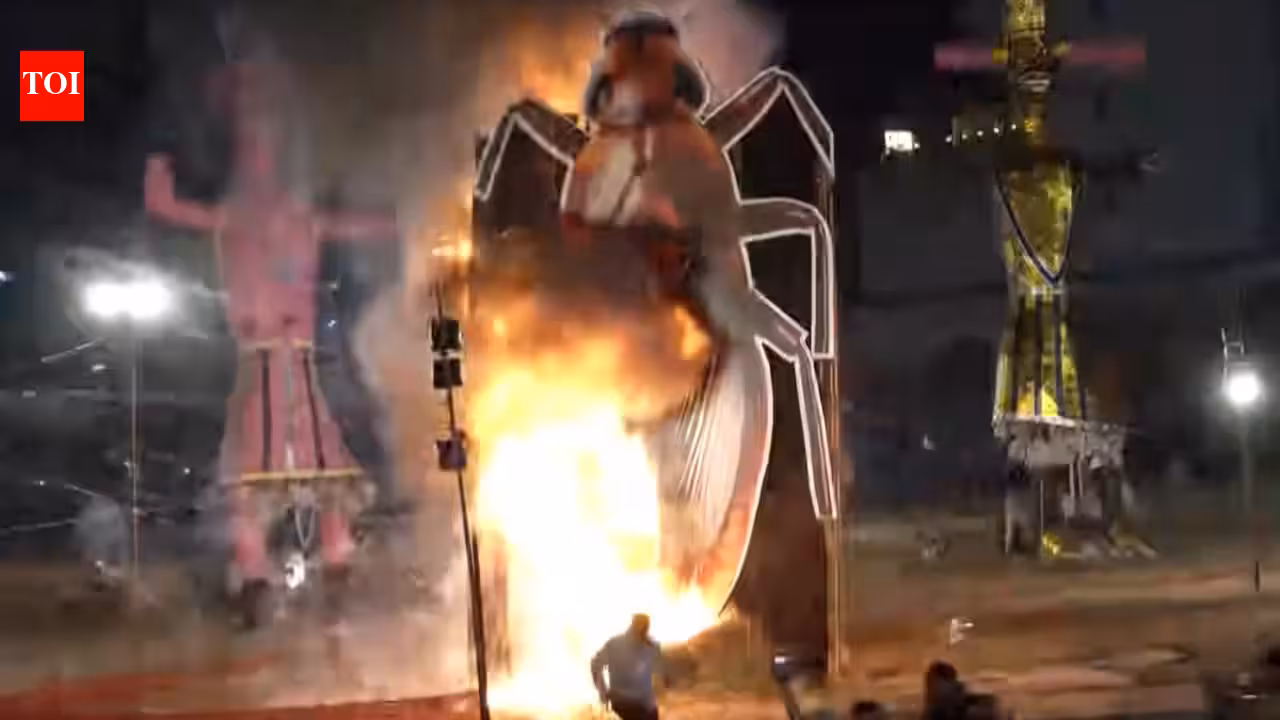 Delhi BJP leader burns giant cockroach effigy; CJP founder responds with SRK’s ‘Swades’ song