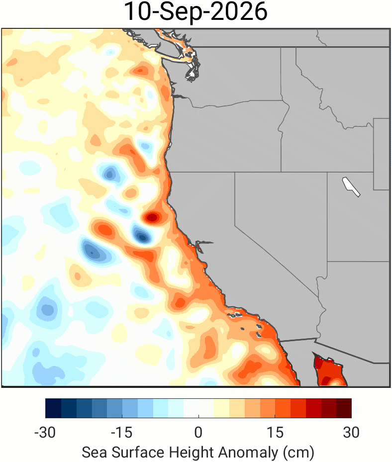 El Niño driven Kelvin Wave hits West Coast