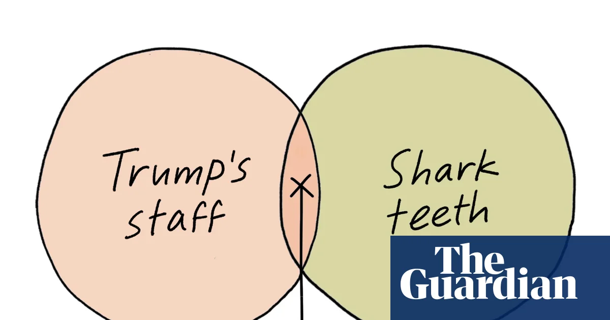 From Trump’s staff to buttering a jacket potato: Edith Pritchett’s week in Venn diagrams – cartoon