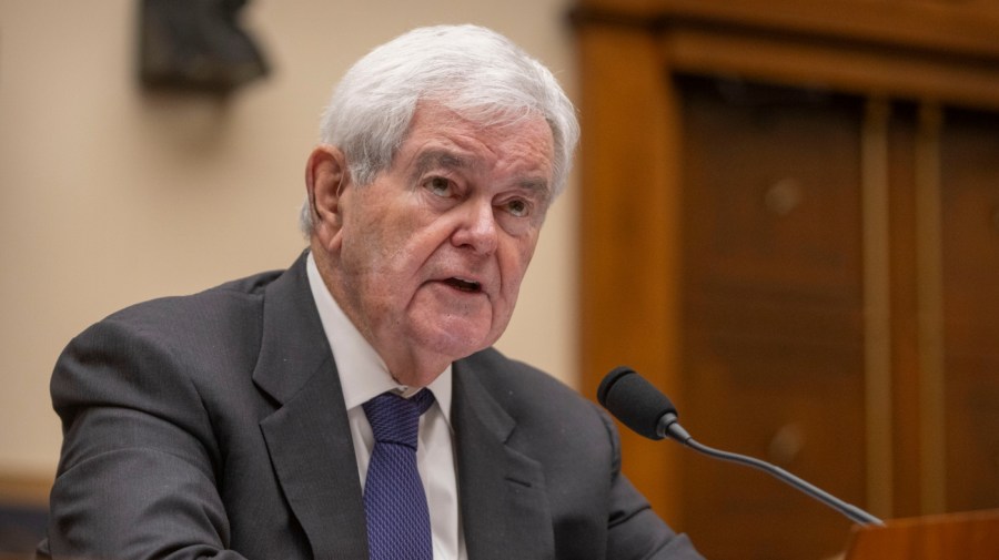 Gingrich: GOP ‘dedicated to being inarticulate’