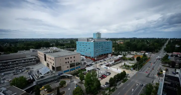 Health care a major election issue as B.C. doctor says he’s hit breaking point