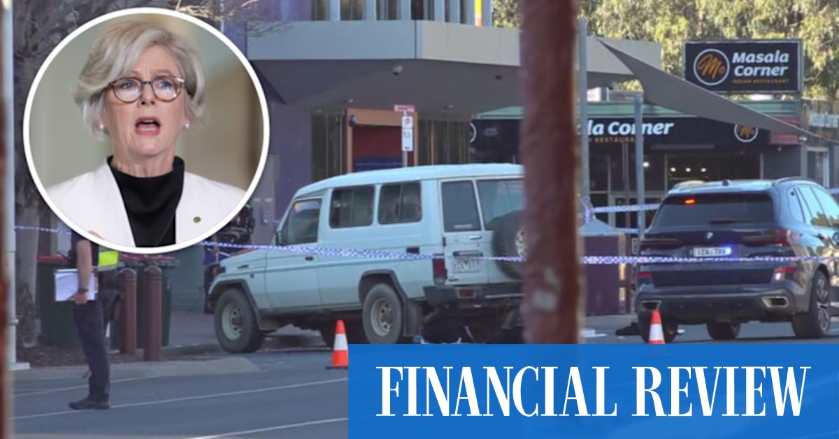 Independent MP Helen Haines badly injured in suspected attack in Wangaratta