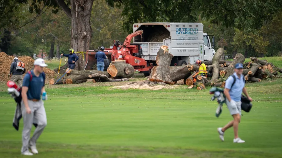 Judge extends tree-cutting block at East Potomac Park