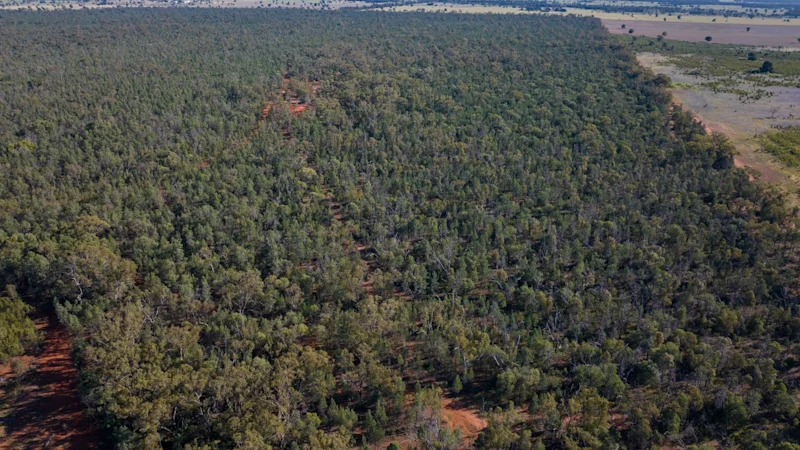 Locksley gears up for major NSW copper-gold drilling push