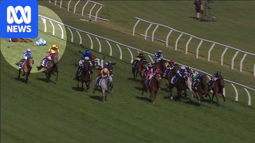 Melbourne Cup winner Half Yours falls in Caulfield Cup won by Kingswood