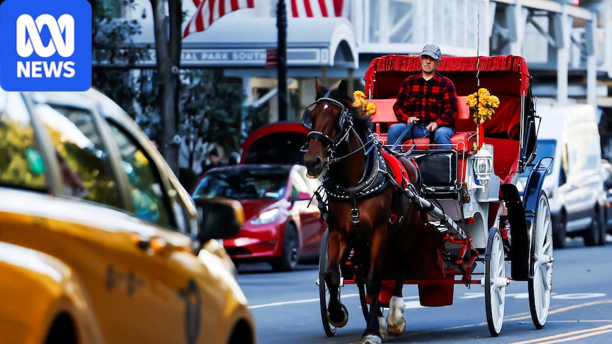 New York City bans horse-drawn carriages from streets and Central Park