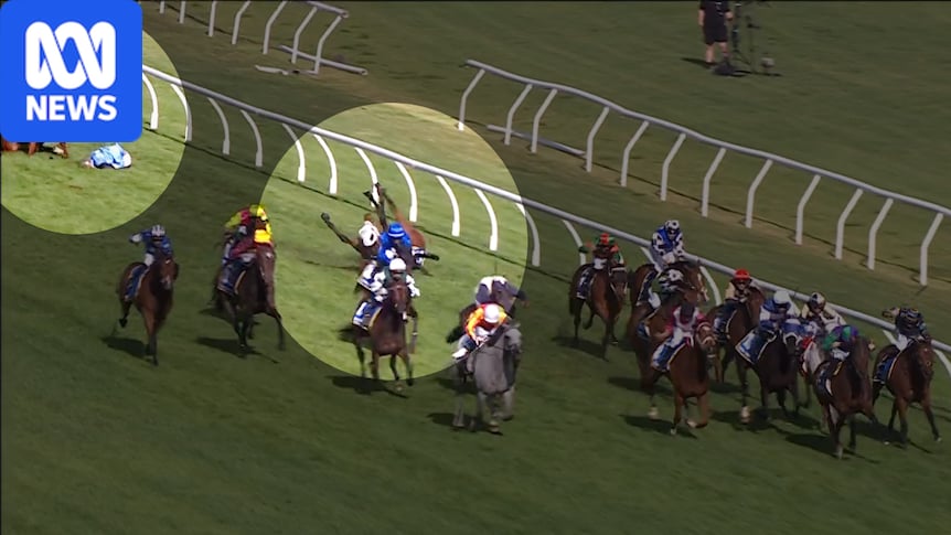 Ohope Wins euthanased after Caulfield Cup fall with Melbourne Cup winner Half Yours