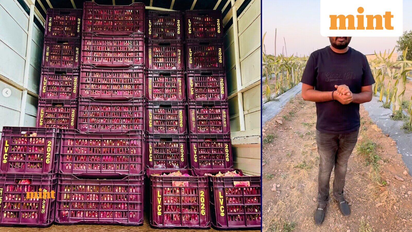 One crop changed everything: Meet the Maharashtra farmer who clocks ₹2 crore annual turnover by selling fruits
