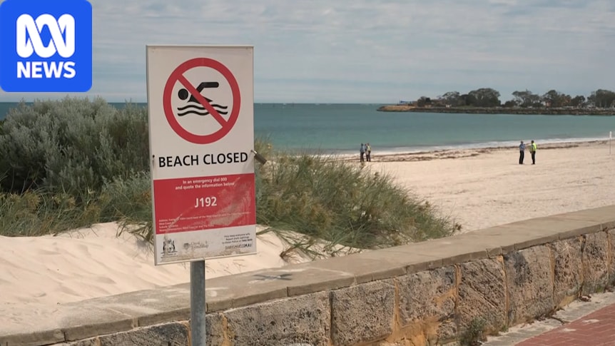 Perth’s Sorrento Beach closed as more whale remains found