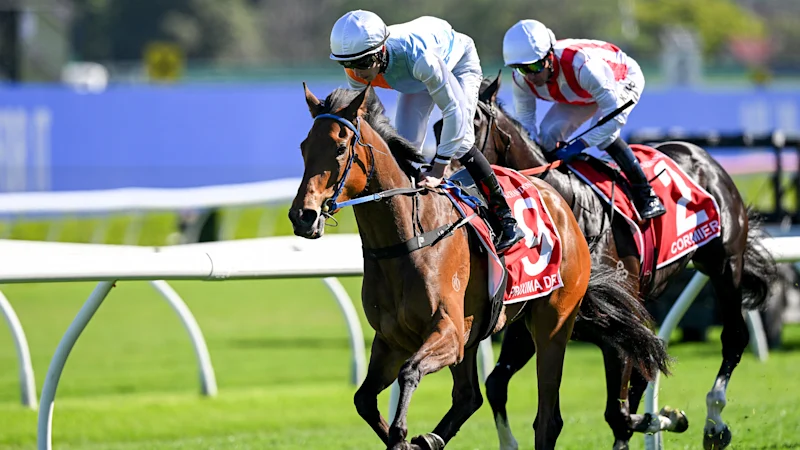 Proxima Dea Spring Champion Stakes: David Payne’s surprise filly cements VRC Oaks favouritism after Randwick win