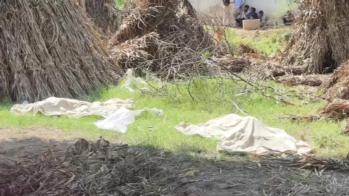 Rajasthan woman kills 13-year-old twin sons after lover refuses to accept them; arrested