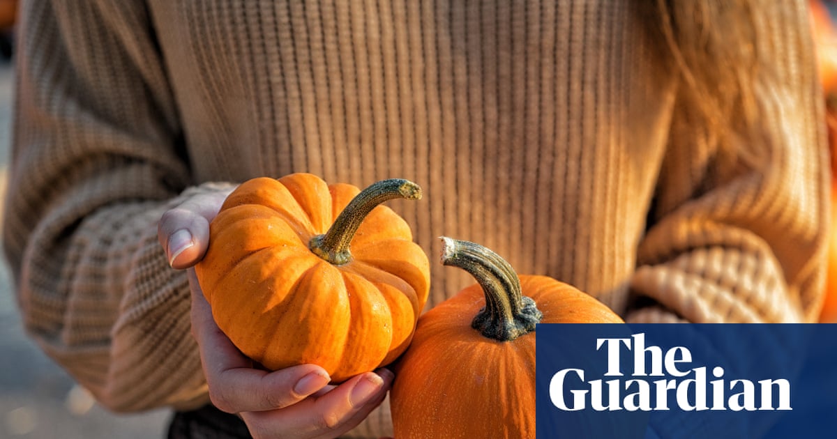 Squash down: smaller pumpkins expected this Halloween after drought in England