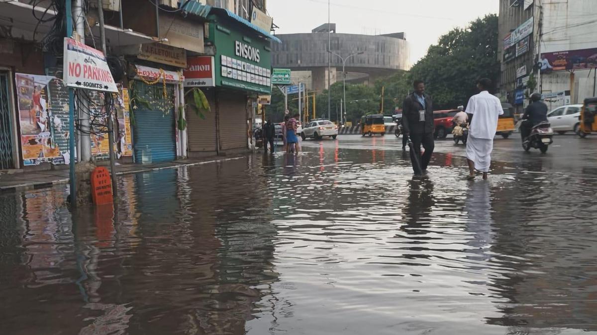 Tamil Nadu rains LIVE: Schools declare holiday in Chennai, four other districts