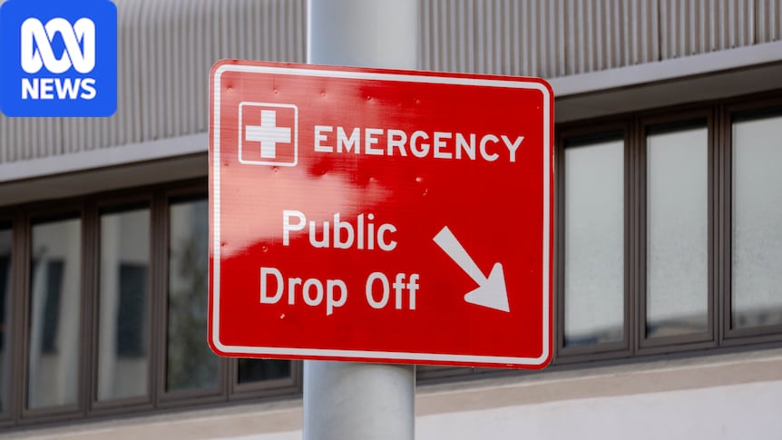 Tasmania’s peak medical body calls for independent commission of inquiry into failing health system