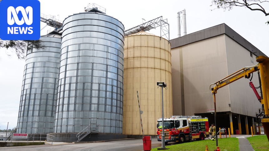 Temperature reaches 500C inside Cardiff feed mill as firefighters battle out-of-control blaze