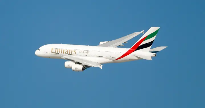 The Curator: Is Emirates business class worth it? I flew 13 hours to find out (plus 8 travel products that helped me along the way)