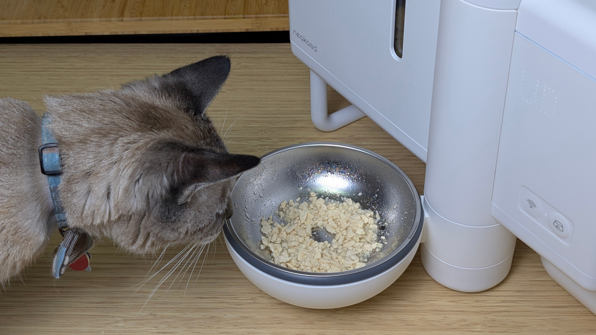 The Future of Wet Cat Food Dispensers Is Here. My Review of Neakasa Riko