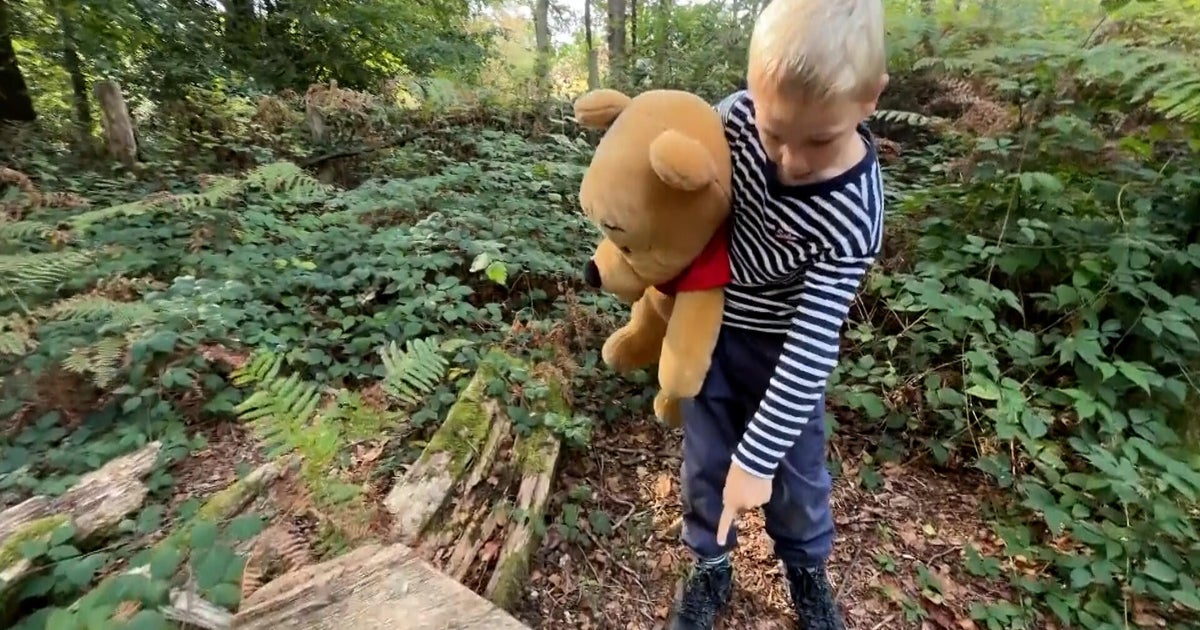 The Uplift: The Hundred Acre Wood
