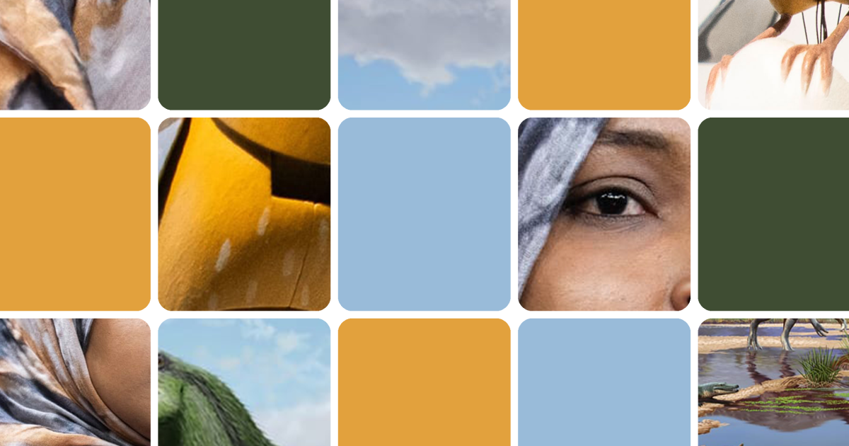 The pope goes under the knife, and a new dinosaur species is discovered: The news quiz
