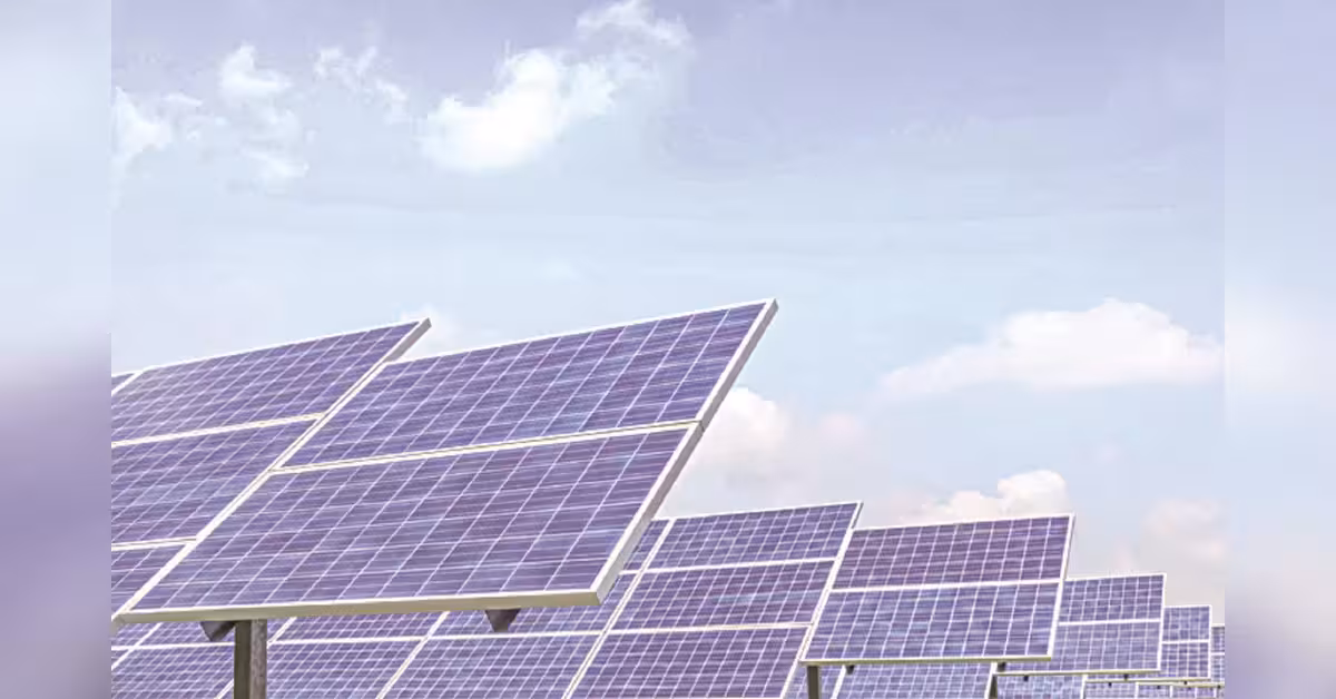 Waaree Renewable Technologies Q2 net profit falls over 29% to ₹81 crore