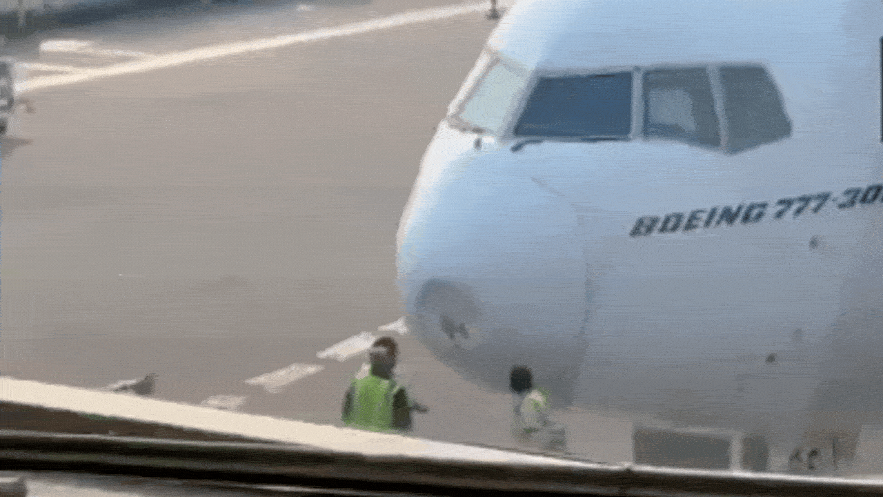 Watch: Bird strike damages Emirates aircraft in Delhi, flight delayed