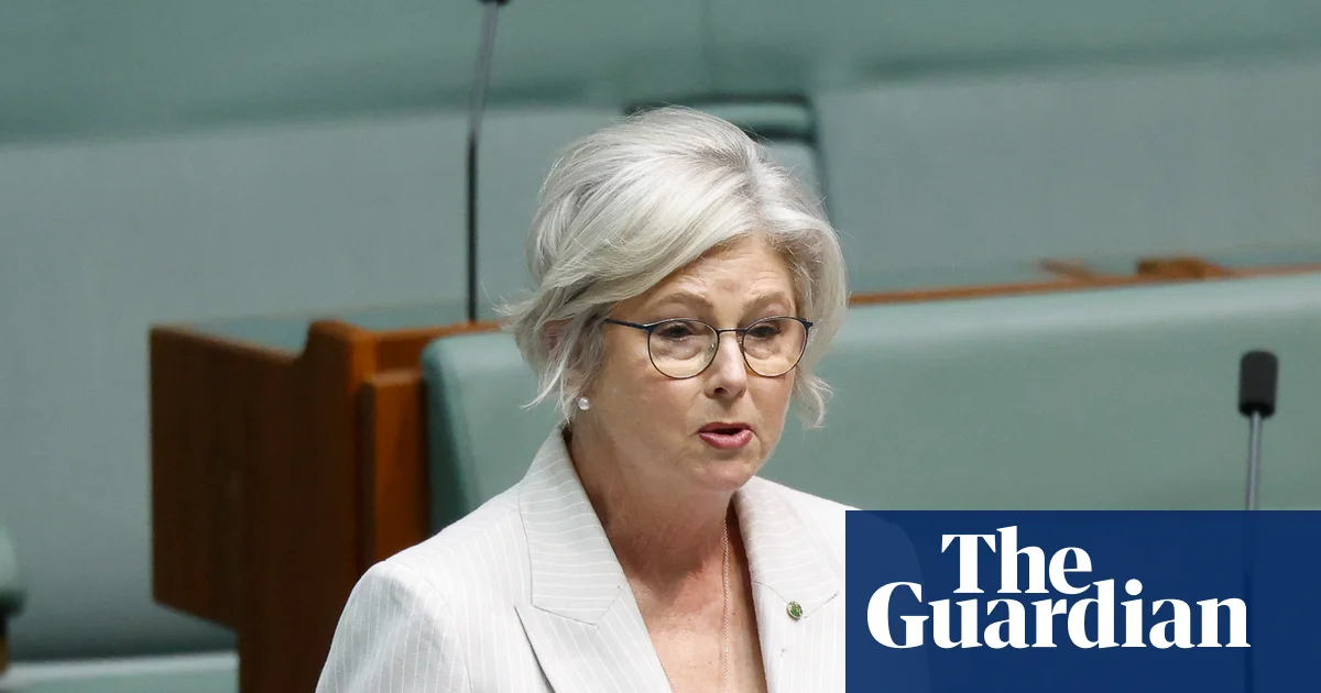 ‘Deeply appalled’: politicians condemn alleged attack after independent MP Helen Haines critically injured